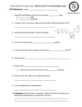 Preview of 'What is ATP?' Worksheet - Paired with YouTube Video