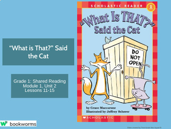 Preview of "'What is That?' Said the Cat" Google Slides- Bookworms Supplement