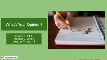 Preview of "What's Your Opinion?" Google Slides- Bookworms Supplement