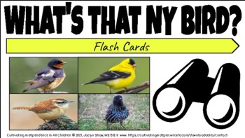 Preview of SIMPLE BIRDING _ FLASHCARDS FOR KIDS _"What's that NY Bird?"