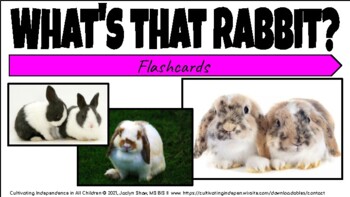 Preview of IDENTIFY BREEDS _ FLASHCARDS FOR KIDS _"What's that Bunny?"