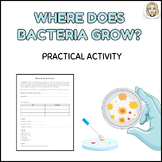 'Where does Bacteria Grow?' Swabbing Practical Activity