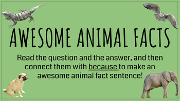 Preview of "Why" → "Because" Complex Sentences with Fun Animal Facts (print or paperless)