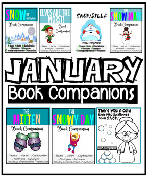 Preview of {Winter} January Book Companions {Several Skills + Reading Comprehension}