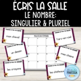 Écris la salle: Le nombre - Singulier et Pluriel (French g