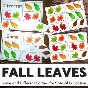 Preview of Fall Leaves Activity Same and Different Sorting Autumn Autism Special Education