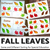 Fall Leaves Activity Same and Different Sorting Autumn Aut