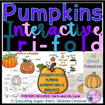 Preview of Pumpkins Differentiated and Interactive Tri-fold Brochure and Posters