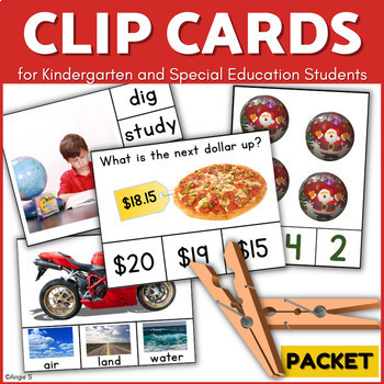 Preview of Clip Cards with Real Pictures Special EdAutism Kindergarten Preschool Activities