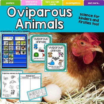 Preview of Oviparous Animals, Eggs