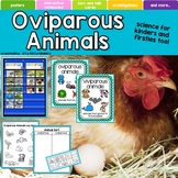 Oviparous Animals, Eggs