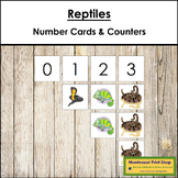 0 to 10 Number Cards and Reptile Counters - Preschool Math