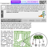 04 PHOTOSYNTHESIS NYS Living Environment Unit Plan