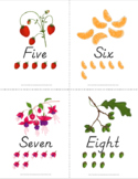1-10 Number Poster and Card Bundle {D'Nealian}