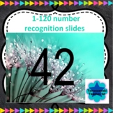 1-120 number recognition 