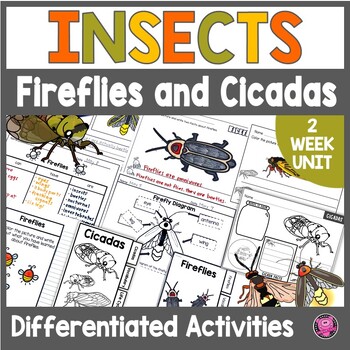 Preview of Insects - Fireflies and Cicadas Printable Insect Differentiated Activities