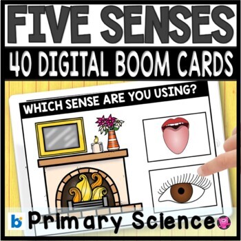 Preview of The Five Senses Human Body Boom Cards PreK & Kindergarten 5 Senses Activities