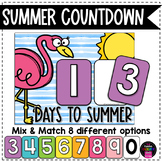 Flamingo Summer Classroom Countdown Display
