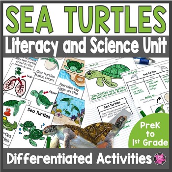 Preview of Sea Turtle Life Cycle - PreK Kindergarten & 1st Grade Sea Turtles Activities