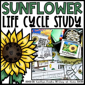 Lesson Plan & Record Book Sunflower 