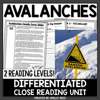 Preview of Avalanches Reading Passage and Worksheets