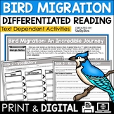 Bird Migration Reading Passage and Worksheets | Animal Migration