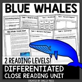 Blue Whales Reading Passage and Worksheets