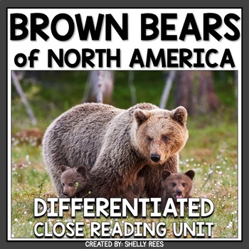 Book Pick: Brown Bear - Raising A Reader - Massachusetts