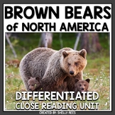 Brown Bears Nonfiction Reading Passage and Worksheets