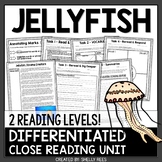 Jellyfish Reading Passage and Worksheets