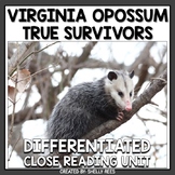 Opossum Marsupial Reading Passage and Worksheets