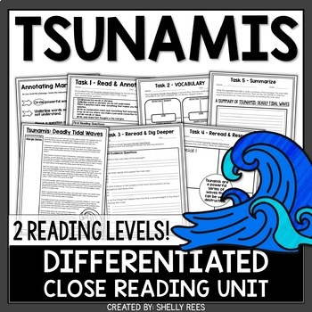 Preview of Tsunamis Reading Comprehension Passage and Worksheets