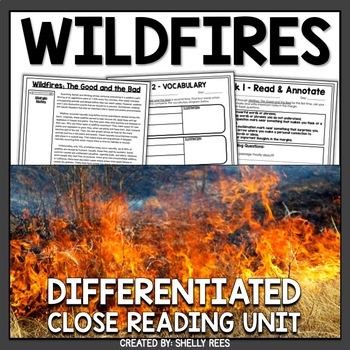 Preview of Wildfires Reading Passage and Worksheets
