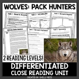 Yellowstone Wolves Reading Passage and Worksheets