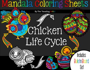 Preview of Chicken life cycle Mandala Coloring & Bulletin Board Set