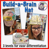 Middle School Science - Human Brain: Build-a-Brain Hat Foldable
