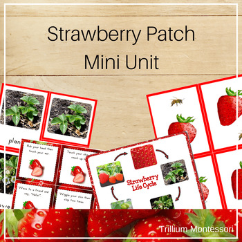 Preview of Strawberry Patch Mini Unit