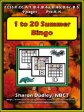 1 to 20 Summer Bingo