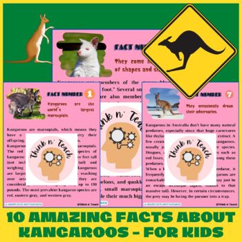 10 Amazing Facts About Kangaroos - For Kids by Think n' Teach | TPT