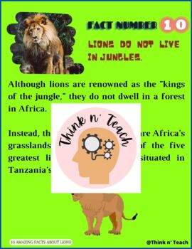 Ten Interesting Facts about Lions, Blog Posts