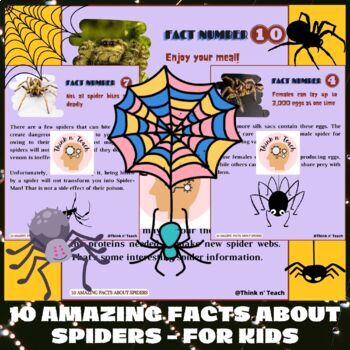 10 Amazing Facts About Spiders - For Kids by Think n' Teach | TpT