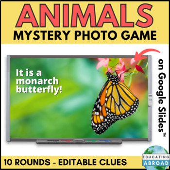 Preview of 10 Animal Inferencing Games for Whole Class Rewards | Fun Fridays Made Easy