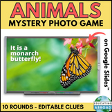 10 Animal Inferencing Games for Whole Class Rewards | Fun 