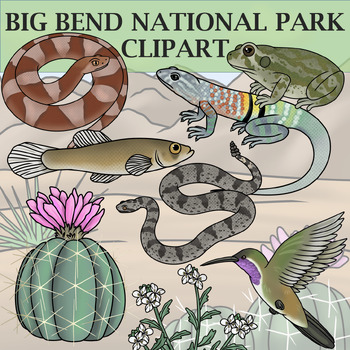 Preview of Big Bend National Park Clip Art - Plants and Animals of the National Parks