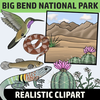 Preview of Big Bend National Park Clip Art - Plants and Animals of the National Parks