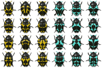 10 Beetle Collection Backgrounds by Textures and Backgrounds Store