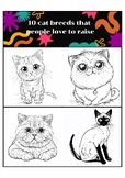 Coloring Book 10 Cat Breeds That People Love To Raise