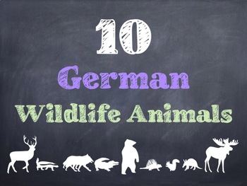 10 Common German Wildlife Animals PowerPoint by Sunny Side Up Resources