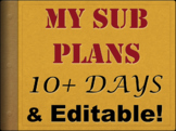 10 Days of Sub Plans Middle / High School English Sub Vari