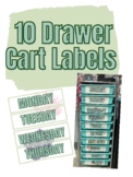 10 Drawer Cart Succulent Labels